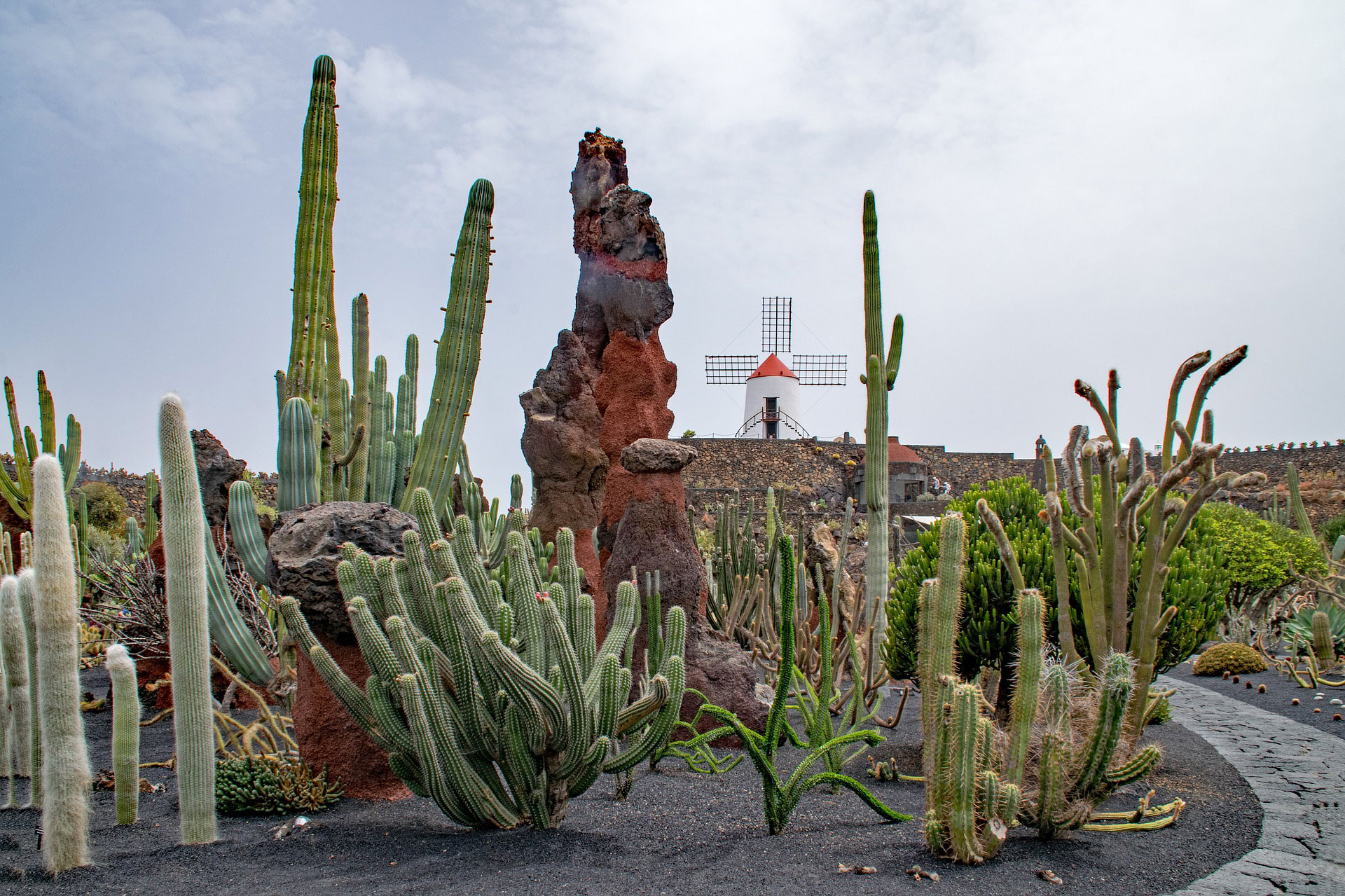 Jardín de Cactus